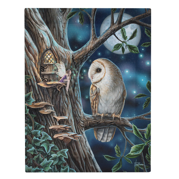19x25cm Fairy Tales Canvas Plaque by Lisa Parker