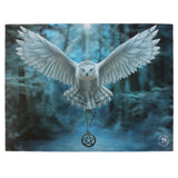 25x19cm Awake Your Magic Canvas Plaque by Anne Stokes